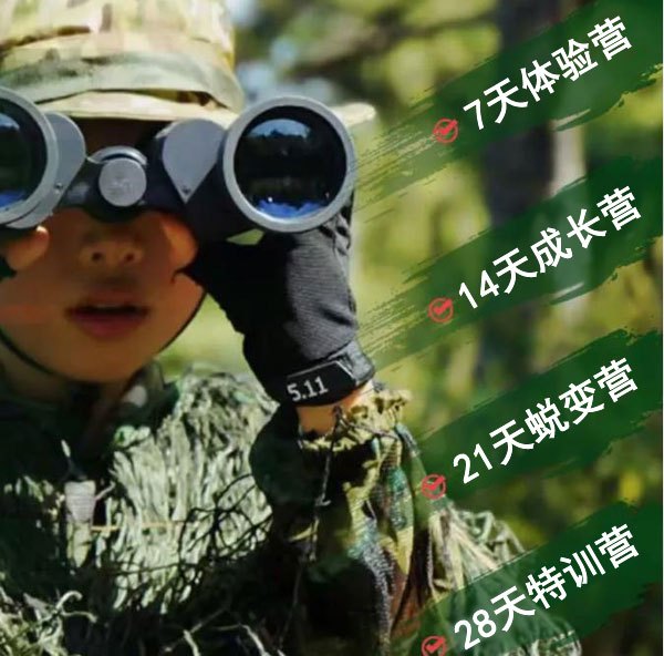 如何通过在线平台找到可靠的篮球辅导资源_0
